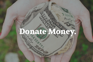 Donate Money